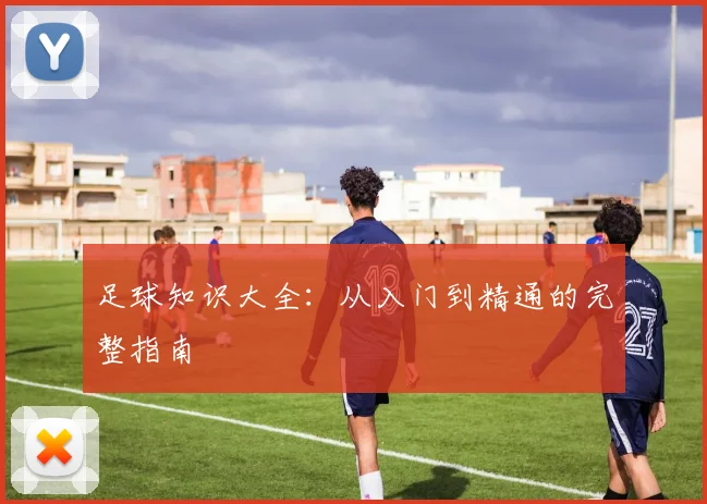 足球知识大全:从入门到精通的完整指南