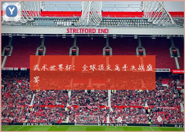 武术世界杯:全球顶尖高手决战盛宴