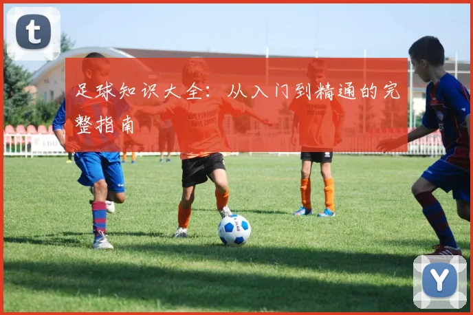 足球知识大全：从入门到精通的完整指南
